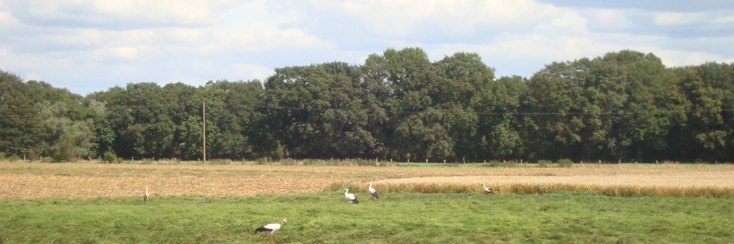 Private Ferienwohnung in der Nähe von Lüchow, Wendland